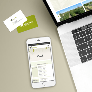 Kruk Iglaki miniaturka