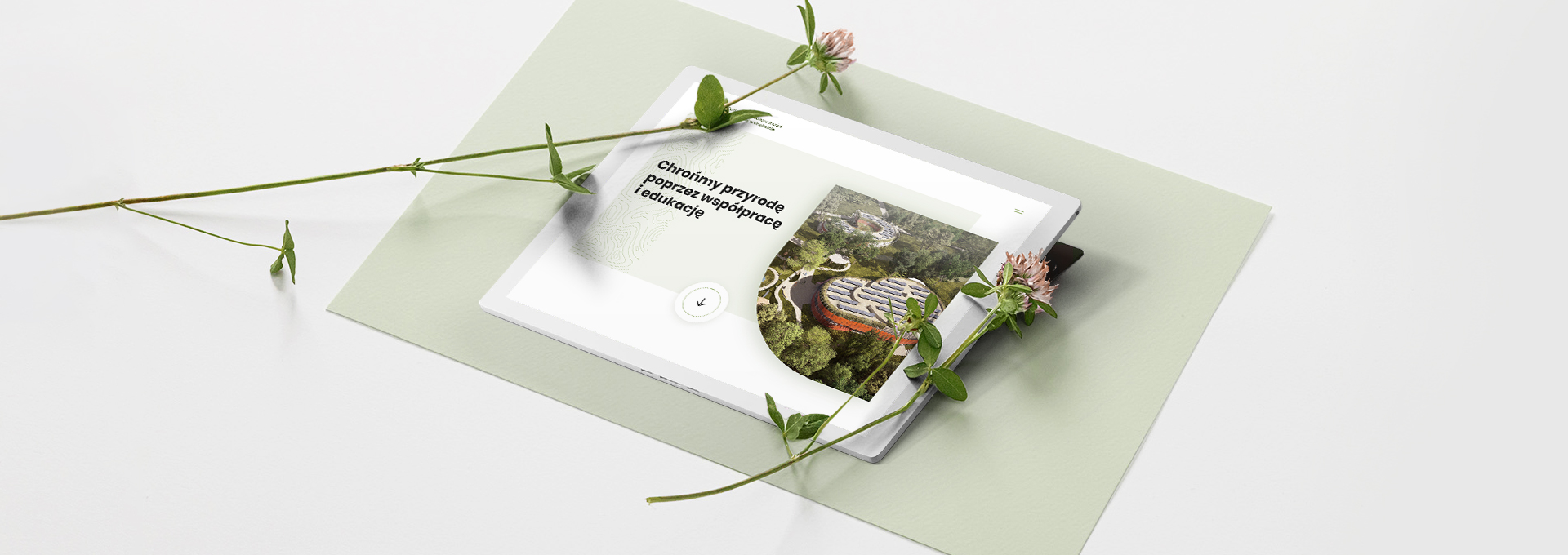 website Mazurskie Centrum Bioróżnorodności i… tło