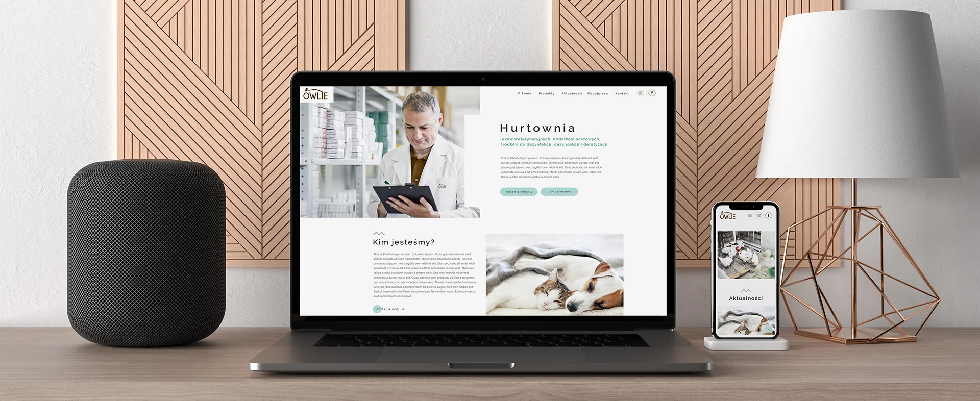 strona internetowa Owlie – strona internetowa tło