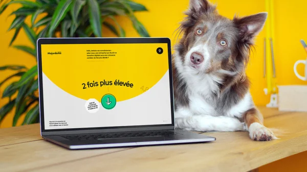 laptop z otwartą żółtą stroną internetową, obok pies i w tle żółta ściana