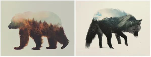 Ilustracja w technice podwójnej ekspozycji ukazująca sylwetki niedźwiedzia i wilka wkomponowane w krajobraz lasu oraz gór.
