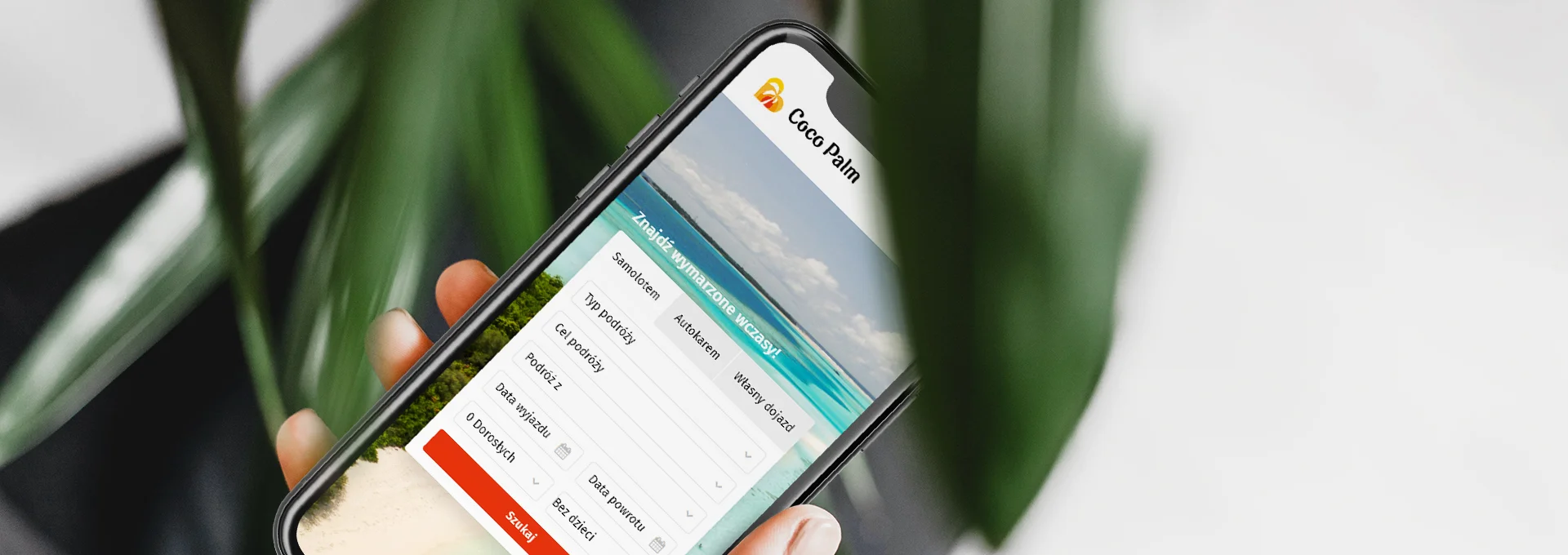 strona internetowa Biuro podróży Coco Palm tło