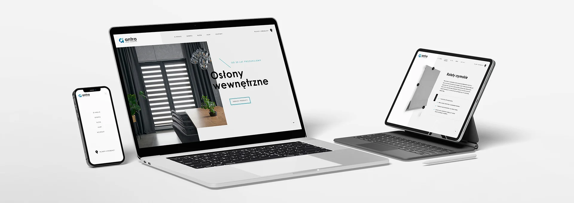 strona internetowa Antra – strona internetowa tło
