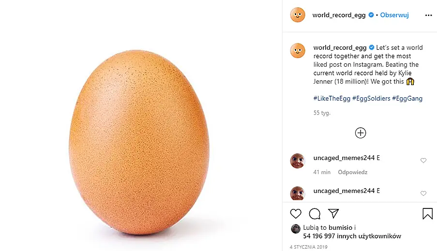 Post z profilu world_record_egg na Instagramie przedstawiający brązowe jajko kurze na białym tle, które pobiło rekord polubień